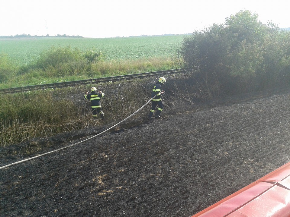 10414548_718538418183573_8864362309715682403_n