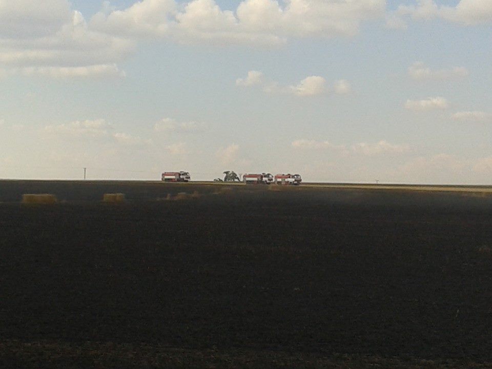 10553497_718536108183804_3208941027236376461_n